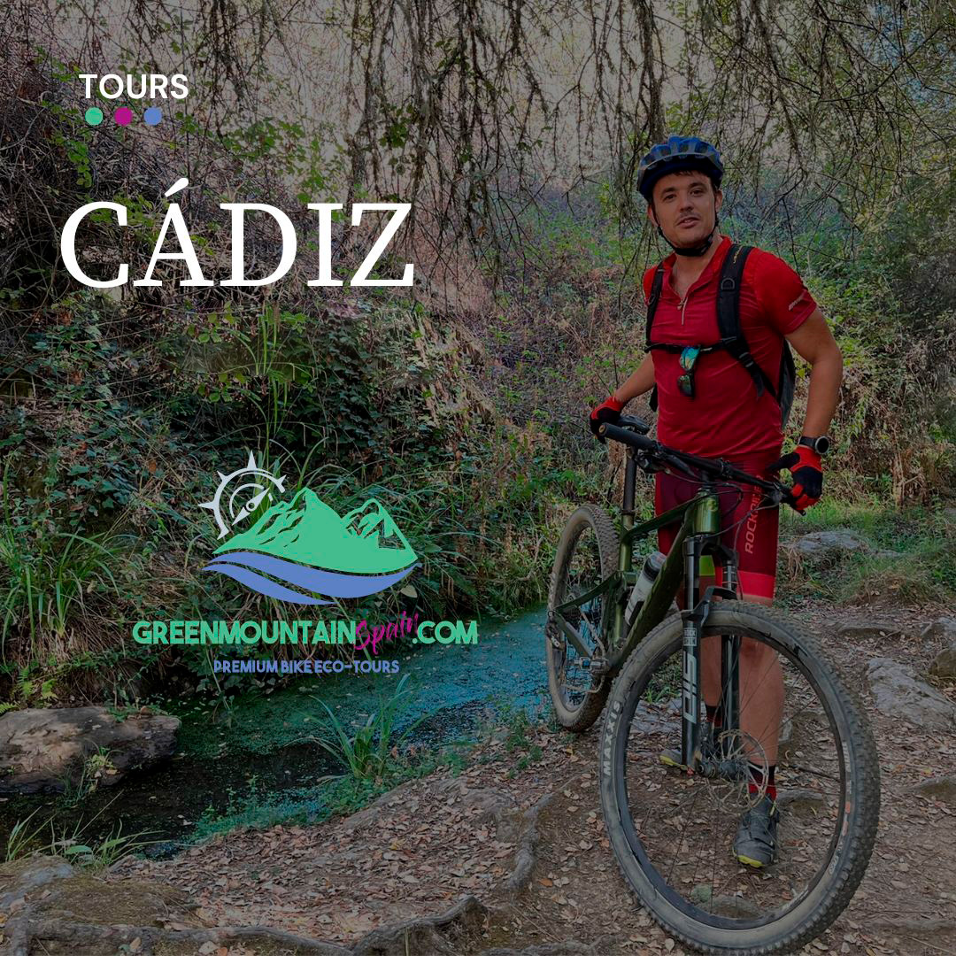 Tours Cádiz
