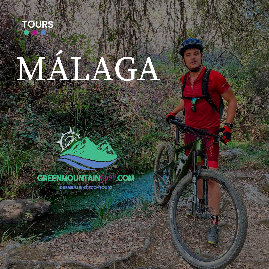 Tour Málaga